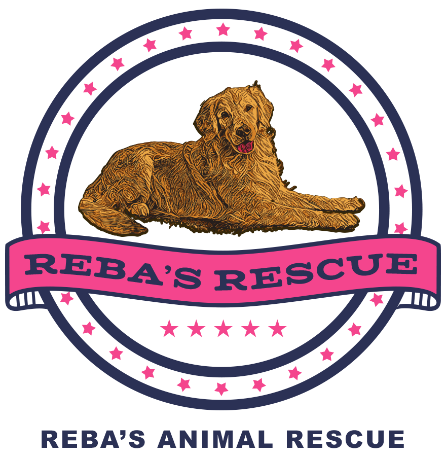 Rebas Rescue